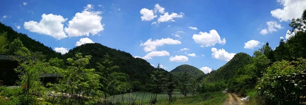 20170616-1.jpg